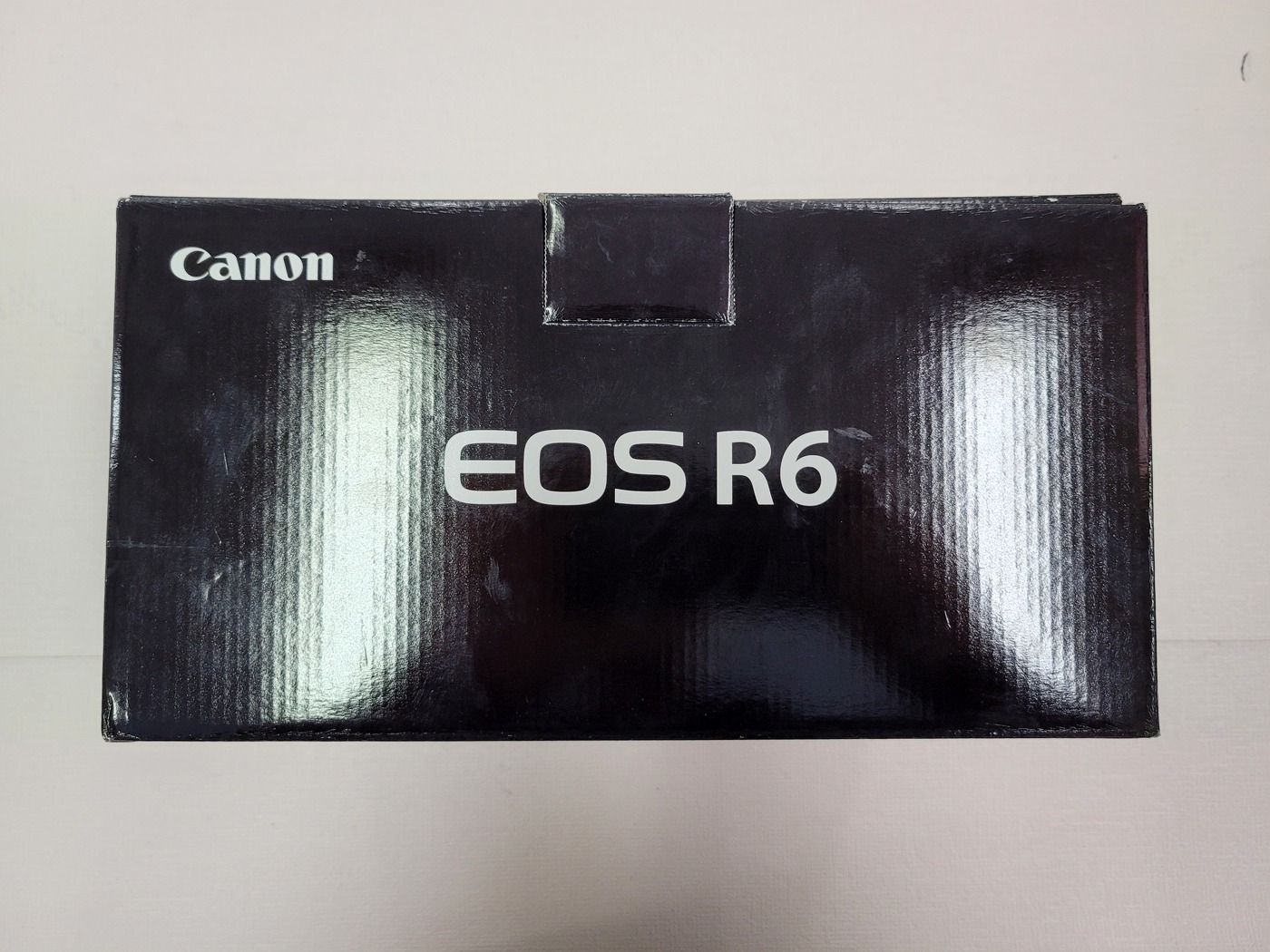 캐논 EOS R6